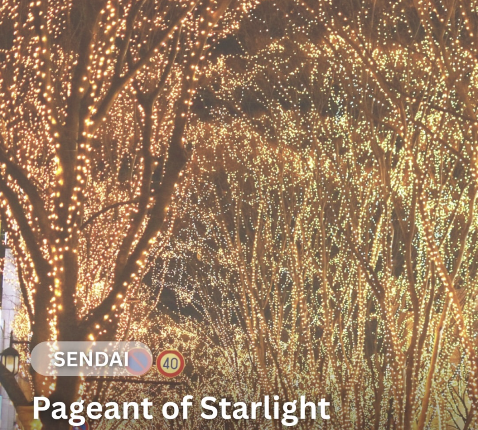 仙台　光のページェント