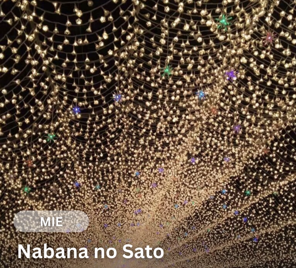 なばなの里 ウィンターイルミネーション